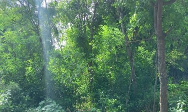 राष्ट्रीय पार्कों के नजदीक औधोगीकरण दुखदाई -राम भरोस मीणा