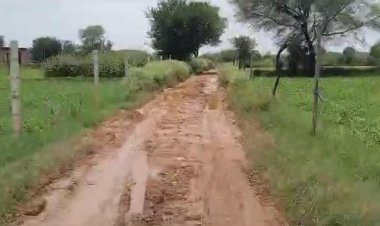 ग्रेवल सडक हुई जर्जर आम आदमी कैसे पहुंचे घर: राह में बने गहरे गड्ढे ,पैदल निकलना हुआ मुश्किल