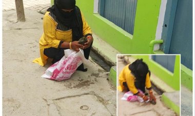 घर में पालने को ले जा रही कछुआ , पुलिस ने कछुआ को कराया आजाद