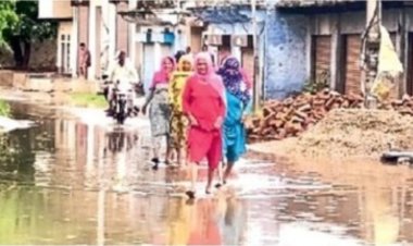 नाले के पानी में पनप रहे मच्छर,लोग बीमार :जल निकासी नहीं होने से आवागमन भी हो रहा प्रभावित