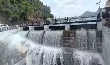 गोगुंदा में सबसे ज्यादा 26 इंच बारिश :जलाशय हुए ओवरफ्लो