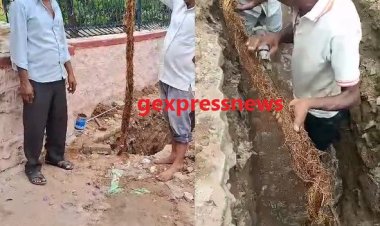 सात घंटे खुदाई कर पाइप लाइन से आठ फीट लंबी जड़ निकाली