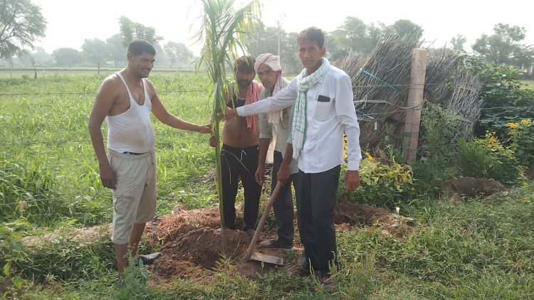 समाजसेवी रामहरि मीणा के नेतृत्व में ऊकरूंद में लगाएं 501 पौधे