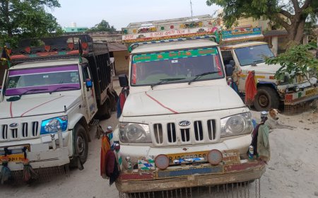 पहाडी पुलिस ने नौ गौवंश मुक्त कराया: तीन पिकअप जप्त -गौतस्कर फरार