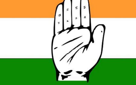 शहर कांग्रेस कमेटी की कार्यकारिणी का किया गठन