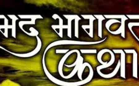 महुआ में श्री जानकी नाथ मंदिर आचार्य परिवार द्वारा श्रीमद् भागवत सप्ताह ज्ञान यज्ञ को लेकर निकाली जीवंत झांकियों के साथ कृष्ण बारात