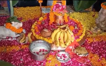 सदाशिव महादेव मंदिर में हुआ 1008 सहस्त्रधारा जलाभिषेक, हर हर महादेव के जयकारों से गूंज उठा शिवालय