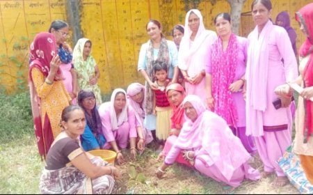 मेरी माटी मेरा देश योजना के तहत ग्राम पंचायत चिकानी में किया कार्यक्रम