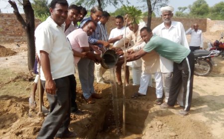 बाघोली में सर्व समाज की शमशान भूमि में सैकड़ों छायादार पेड़ पौधे लगाए :रिटायर्ड आईएएस अधिकारी सुवालाल ने किया शुभारंभ