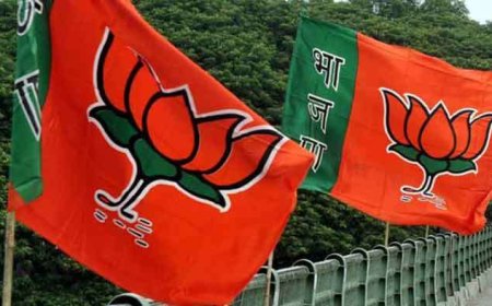 भाजपा द्वारा आगामी विधानसभा चुनावो मे रणनीति को लेकर बैठक