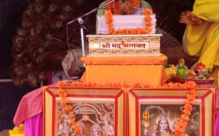 भागवत कथा सुनने से ही मनुष्य को मिलता है मोक्ष का मार्ग:- पं नरेंद्र वशिष्ठ