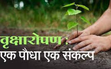 पौधारोपण कर लिया पौधों कि देखरेख व संरक्षण की जिम्मेवारी