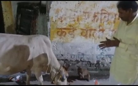 परोपकार से बड़ा कोई कार्य नहीं- इंद्र गोपाल गुप्ता एडवोकेट