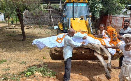 भगवान शिव की सवारी शिवबूढ़े नंदी ने त्यागे प्राण