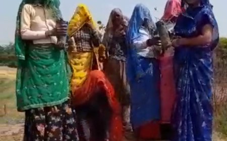 राखी के त्योहार पर पाटन सरपंच सरोज मीना ने मनरेगा श्रमिको के साथ किया पौधारोपण