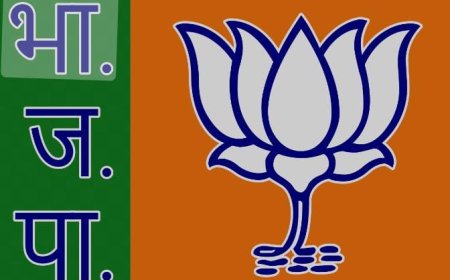 स्लिप ऑफ़ टंग के लिए मशहूर विधायक के टिकट पर तलवार, भाजपा जहाजपुर विधानसभा क्षेत्र से नए चेहरे को दे सकती है मौका