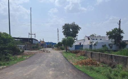 जुरहरा रीको औद्योगिक क्षेत्र सोनोखर- बिजली पानी मूलभूत सुविधाओं का अभाव :वर्ष 1990 में अस्तित्व में आई रीको