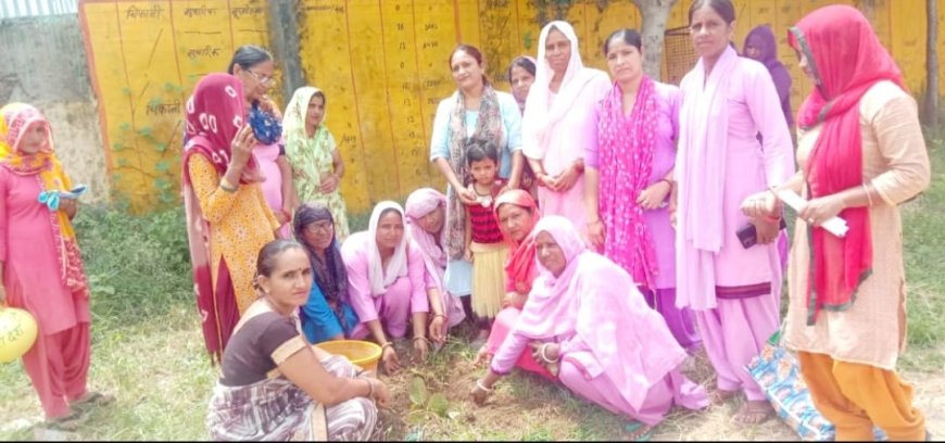 मेरी माटी मेरा देश योजना के तहत ग्राम पंचायत चिकानी में किया कार्यक्रम