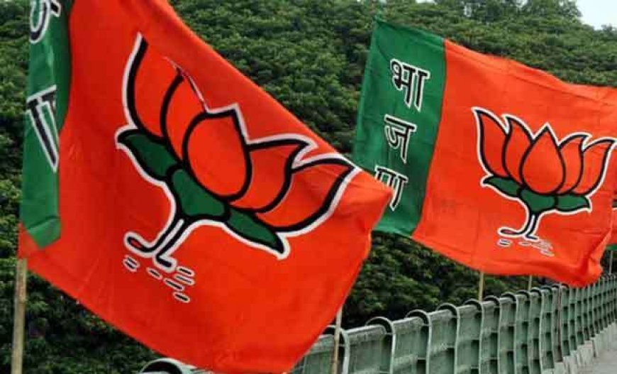 भाजपा द्वारा आगामी विधानसभा चुनावो मे रणनीति को लेकर बैठक