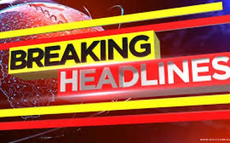 आज शुक्रवार को बाली विधानसभा क्षेत्र 120 में जाखड़ करेंगे नामांकन