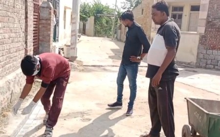 नगर पालिका ने मौसमी बीमारी की रोकथाम के लिए डीडीटी पाउडर का करवाया छिड़काव