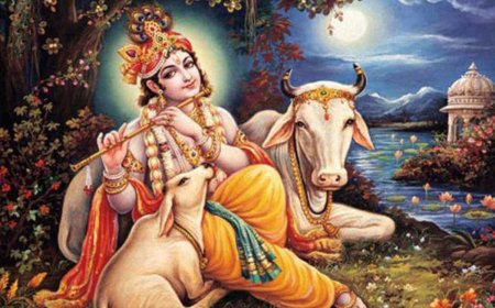 7 सितंबर को शनि मंदिर पर होगी कृष्ण लीलाओं की प्रदर्शनी