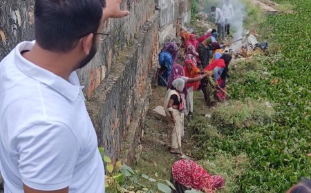 शहरी नरेगा से तालाब की पाल पर पौधारोपण, पालिका क्षेत्र में लगेंगे 6 हजार पौधे