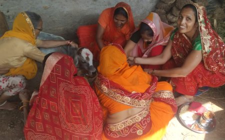 महिलाओं ने की गाय, बछड़़े की पूजा