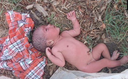 नन्ही बालिका को लावारिस छोडते समय मां का दिल भी नहीं पसीजा