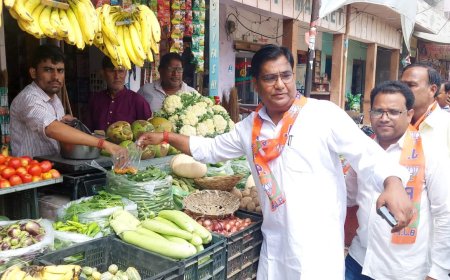 परिवर्तन संकल्प यात्रा के उदयपुरवाटी आगमन पर भाजपा कार्यकर्ताओं ने बांटे पीले चावल