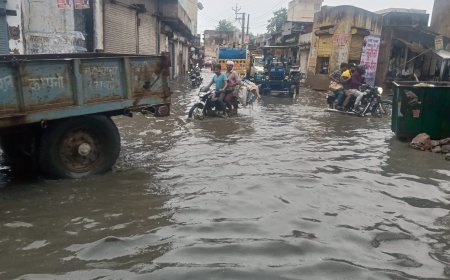 बारिश ने दिलाई भीषण गर्मी से राहत
