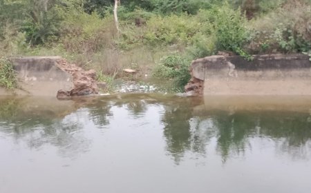मातृकुंडिया मेजा बांध नहर में बदमाशों ने की सेंधमारी: व्यर्थ बह रहा लाखों लीटर पानी, खेतखलिहानों में हो रहा नुकसान