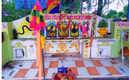 तेजाजी का विशाल मेला 24 को महेन्द्रगढ़ में