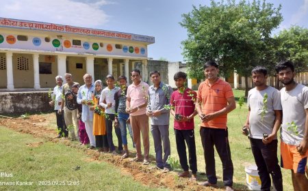 हरित राजस्थान के तहत राज्य के विद्यालय में लगाए गए पेड़ पौधे पर्यावरण बचाने का दिया संदेश