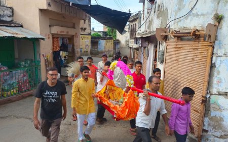 पालकी में बैठाकर ठाकुर जी को करवाया नगर भ्रमण