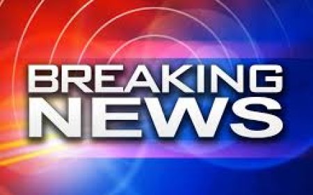 बैखौफ चोरों का तांडव: एक ही रात में सात घरो को निशाना बनाकर दिया चोरी की घटना को अंजाम