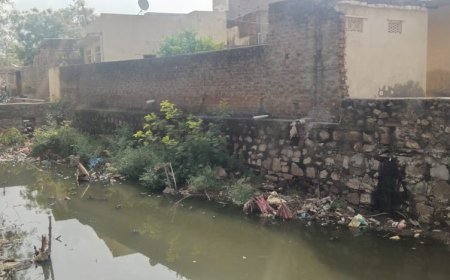 कस्बे के कई घरो में शौचालयो के सेप्टिक टैंक का अभाव:  बरसाती नाले में बहाया जाता है मानव मल