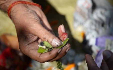 आज से हो गई है पितृपक्ष की शुरुआत,
