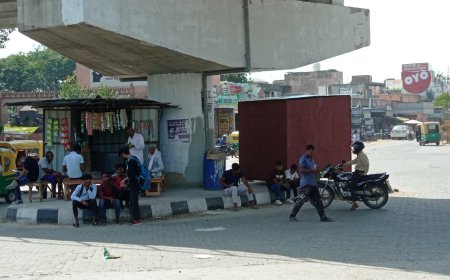 73 करोड़ रुपए की लागत से बनाया गया ऑवर ब्रिज: चढ़ने लगा अतिक्रमण की भेट, प्रशासन मौन