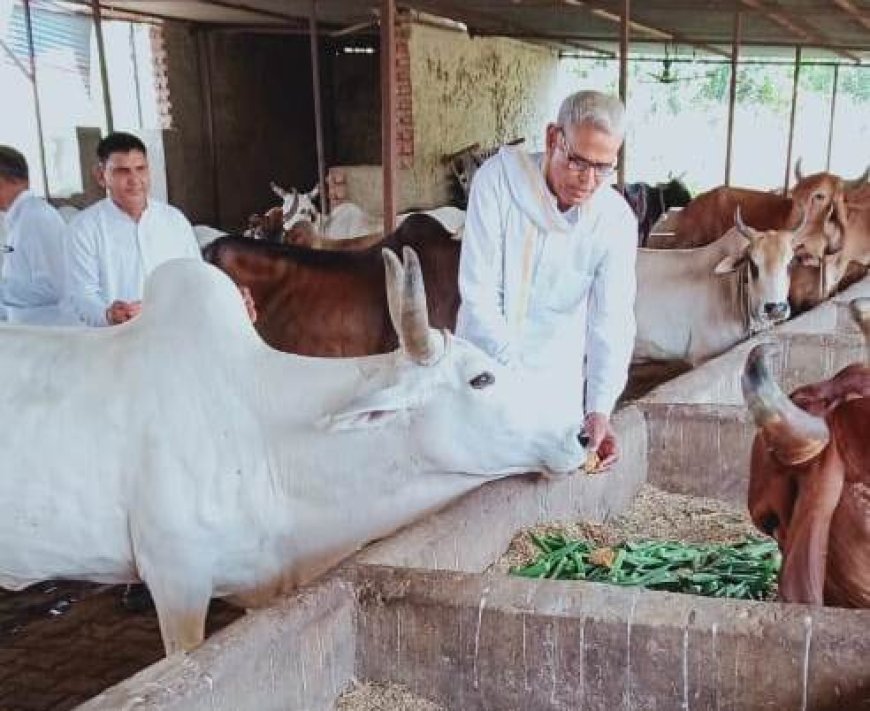 एडवोकेट भंवर सिंह के नेतृत्व में  सचिन पायलट के जन्म दिवस पर  गायों को खिलाया गुड मरीजों को बाटे फल