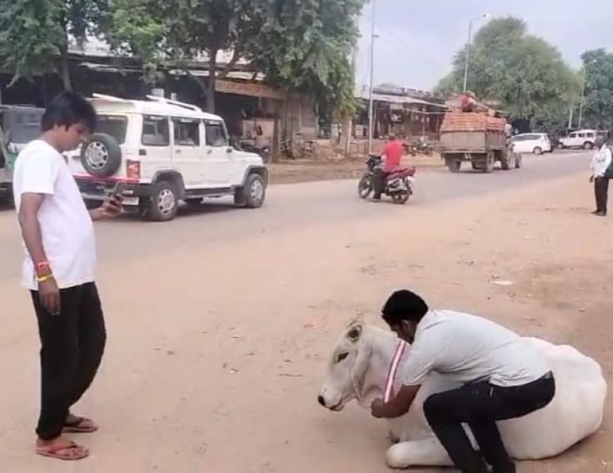 श्री बालाजी सेवा समिति रायपुर मंडावर पन्नालाल गट्टू भाई भंडारी चेरिबल ट्रस्ट बेंगलुरु के संयुक्त तत्वाधान में शुरू किया मिशन जीव रक्षा अभियान *जियो और जीने दो