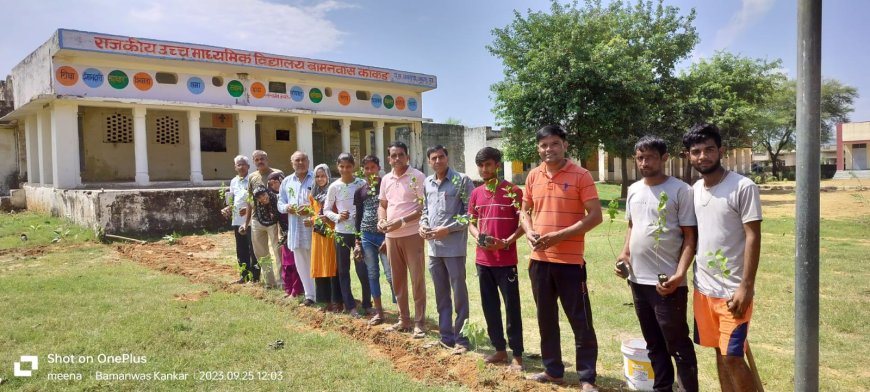 हरित राजस्थान के तहत राज्य के विद्यालय में लगाए गए पेड़ पौधे पर्यावरण बचाने का दिया संदेश