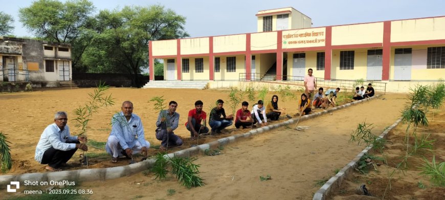 हरित राजस्थान के तहत राज्य के विद्यालय में लगाए गए पेड़ पौधे पर्यावरण बचाने का दिया संदेश