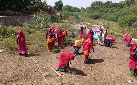 चिराणा में हुआ जागरूकता कार्यक्रम का आयोजन