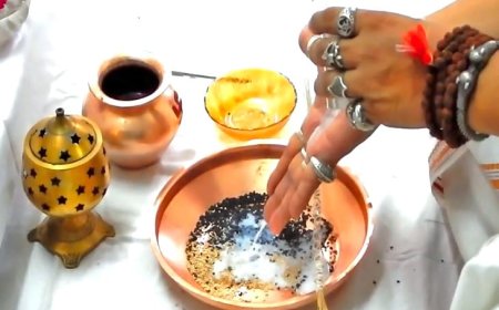 श्राद्ध पक्ष में पितरों को स्मरण कर कार्य करने से मिलती है सफलता