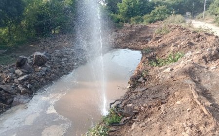 सैकड़ों लीटर पानी बर्बाद हो रहा है चम्बल की टुटी पाईप लाईन से:मरम्मत का इंतजार