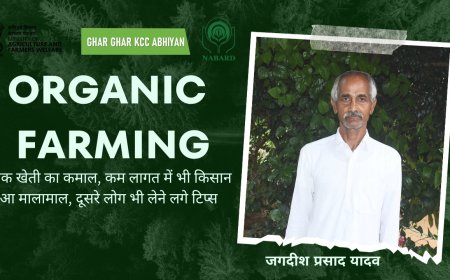 खेती में जैविक खादो के इस्तेमाल से भी किसान कर सकता है अच्छी कमाई