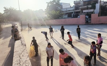 लाडो का स्वच्छता यज्ञ निरंतर जारी