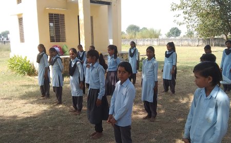 नारायणपुर के राजकीय उच्च प्राथमिक  स्कूल गड़ी- मामोड गोगड़ी की ढाणी मे मनाया गया अंतर्राष्ट्रीय बालिका बालिका