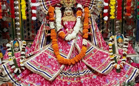 जन-जन की आस्था का केंद्र बना अलवर जिले का मां धोलागढ़ देवी का भव्य ऐतिहासिक मंदिर